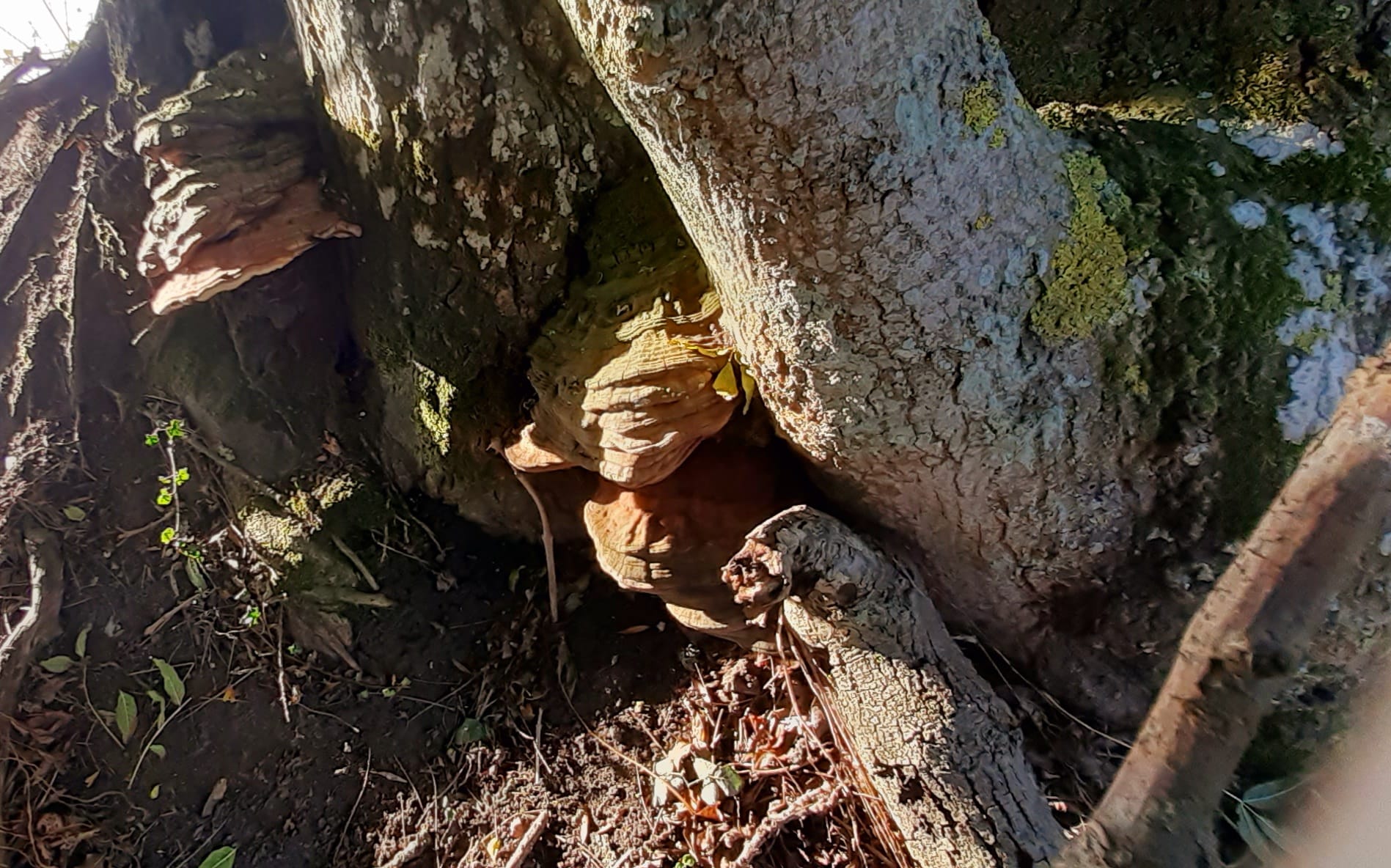 2022-10-02 15 Angles Way 24 - Flixton.jpg