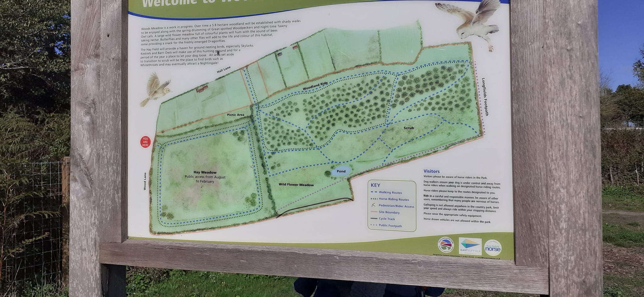 2022-10-02 17 Angles Way 24 - Flixton.jpg