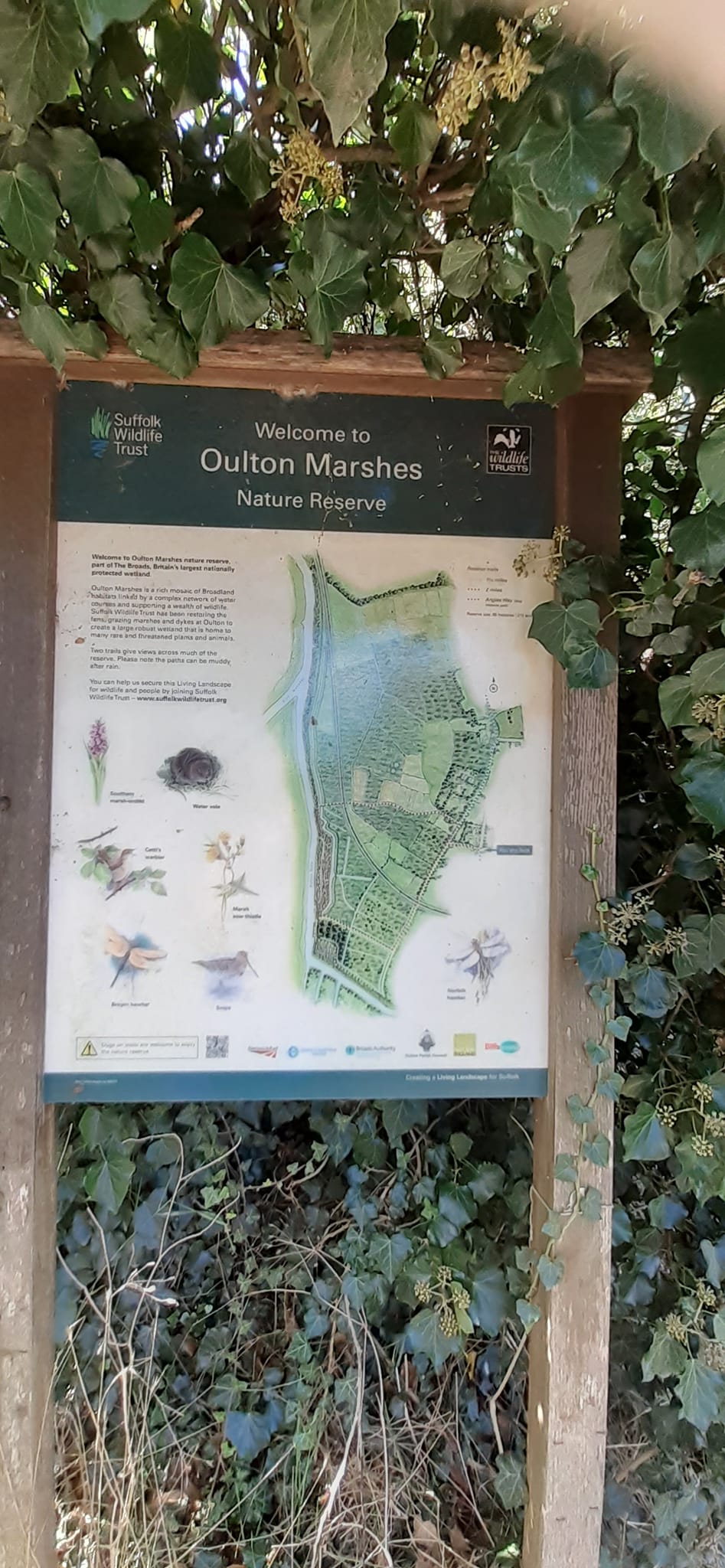 2022-10-02 18 Angles Way 24 - Flixton.jpg