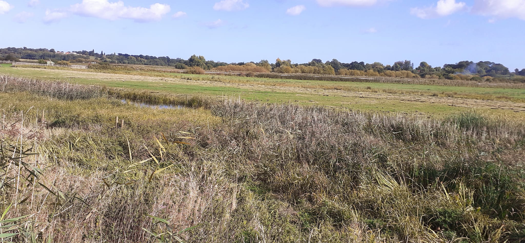 2022-10-02 21 Angles Way 24 - Flixton.jpg