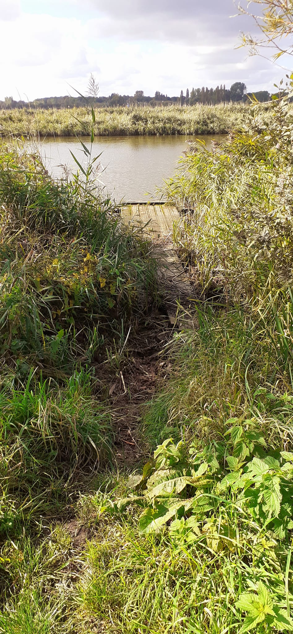 2022-10-02 22 Angles Way 24 - Flixton.jpg