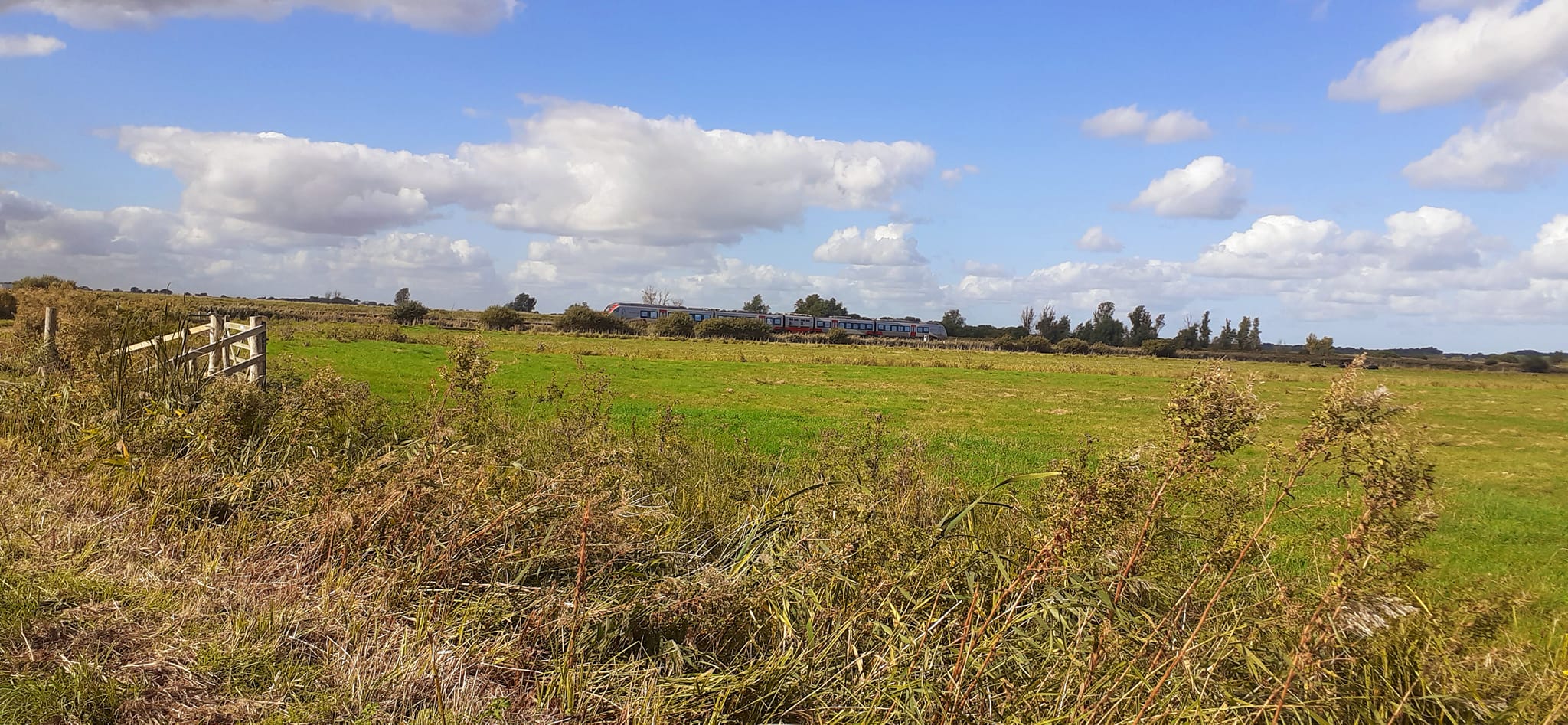 2022-10-02 24 Angles Way 24 - Flixton.jpg