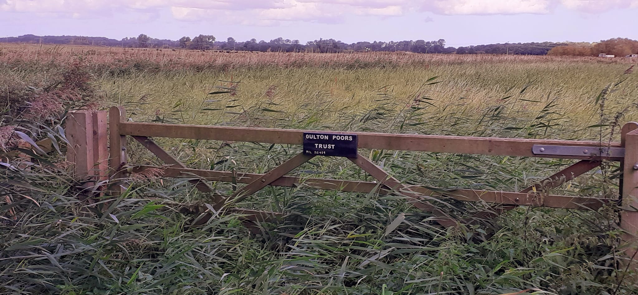 2022-10-02 26 Angles Way 24 - Flixton.jpg