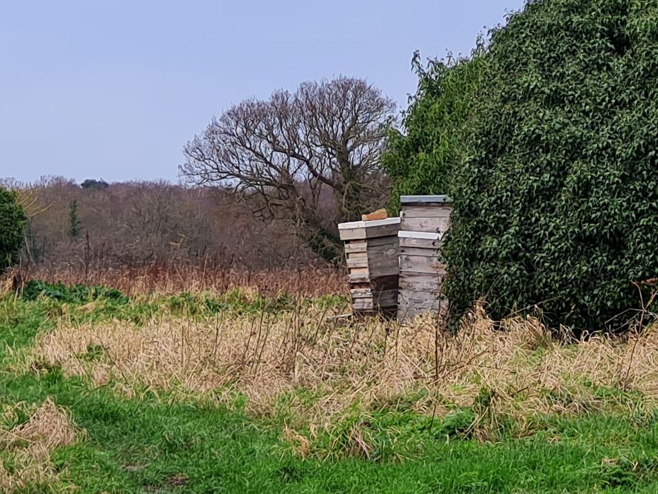 2023-12-29 03 Oulton and Flixton.jpg