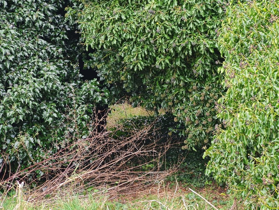 2023-12-29 04 Oulton and Flixton.jpg