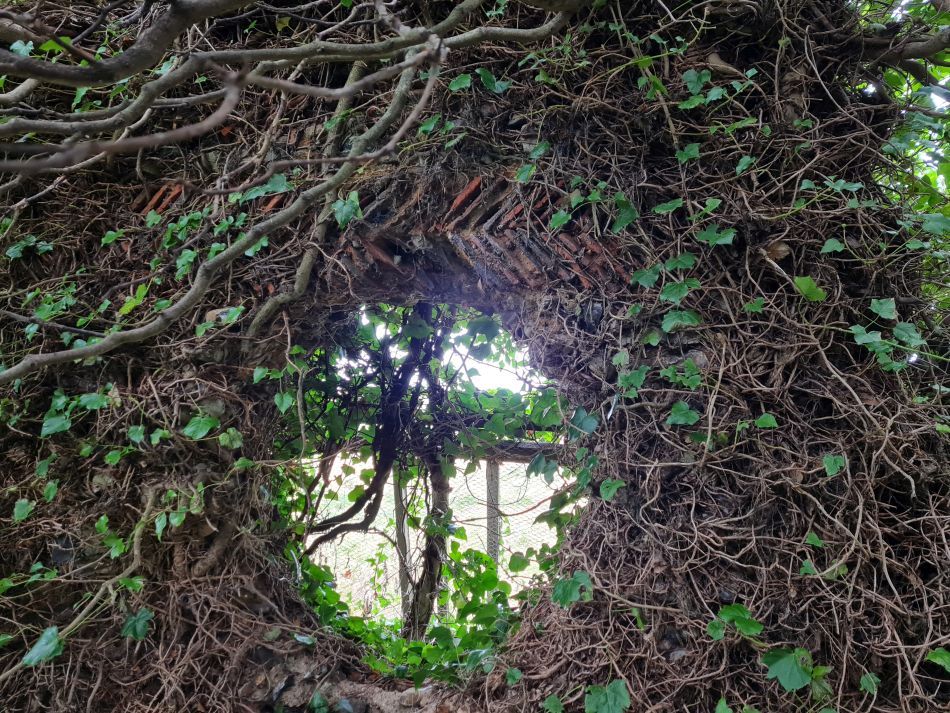 2023-12-29 05 Oulton and Flixton.jpg