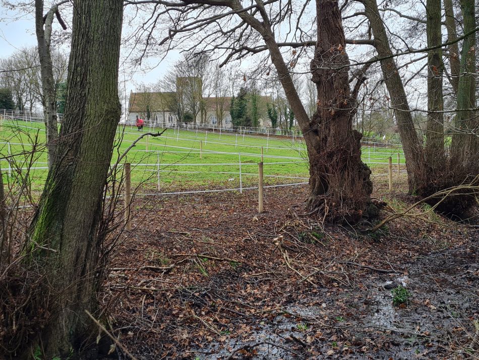 2023-12-29 07 Oulton and Flixton.jpg