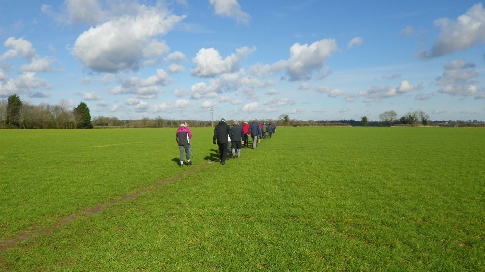 2017-03-01 01 Brooke and Howe Area.jpg