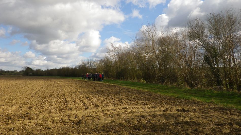 2017-03-01 10 Brooke and Howe Area.jpg