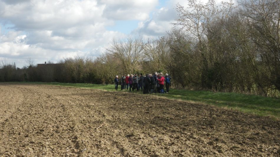 2017-03-01 11 Brooke and Howe Area.jpg