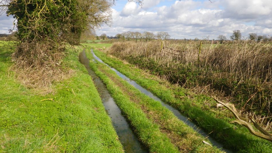 2017-03-01 14 Brooke and Howe Area.jpg