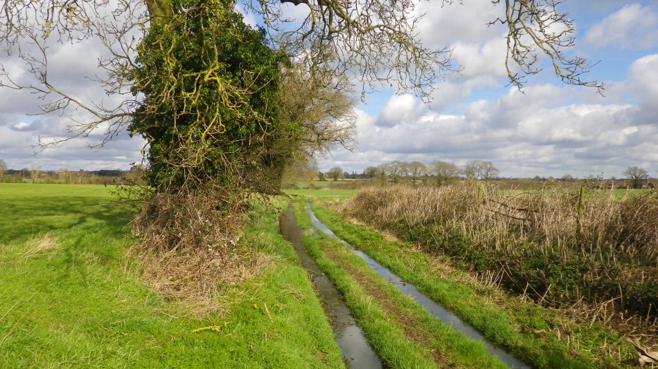 2017-03-01 15 Brooke and Howe Area.jpg