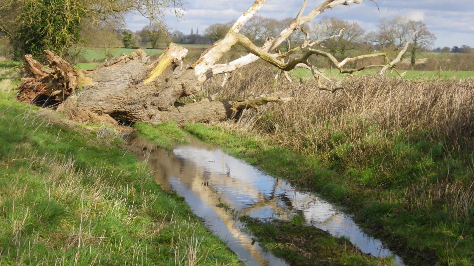 2017-03-01 18 Brooke and Howe Area.jpg