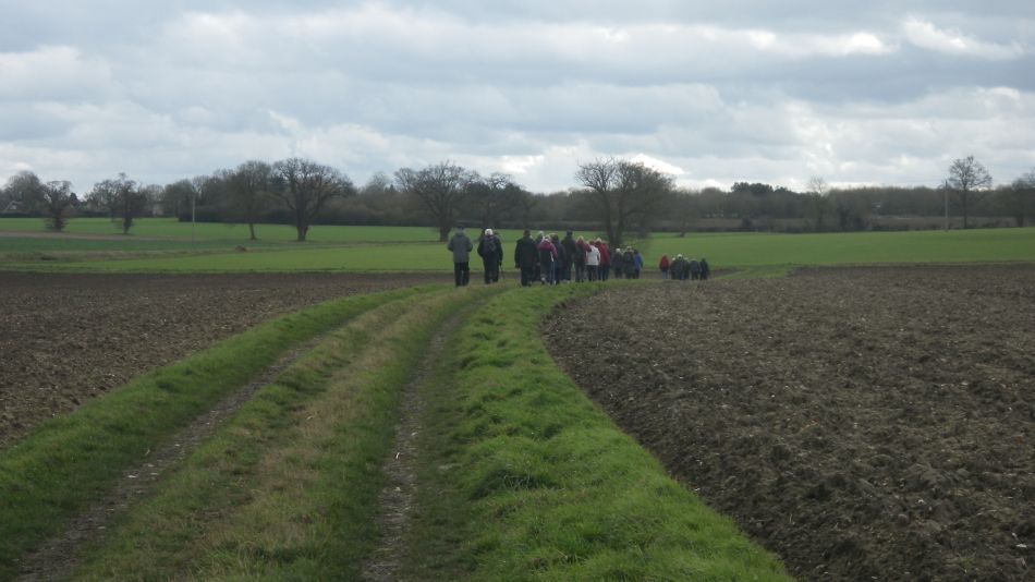 2017-03-01 27 Brooke and Howe Area.jpg