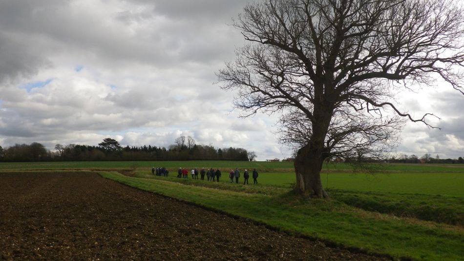 2017-03-01 28 Brooke and Howe Area.jpg