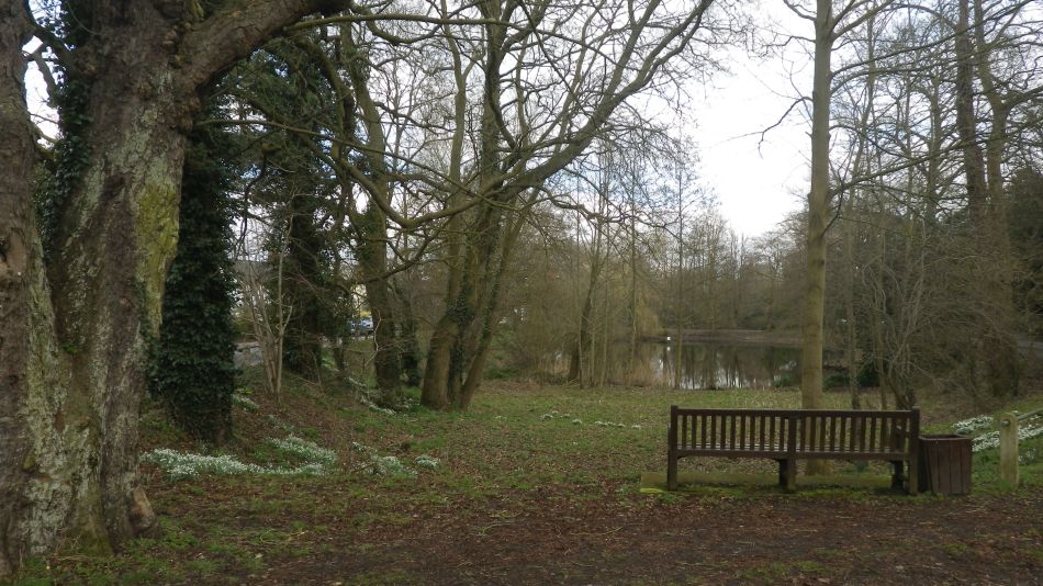 2017-03-01 29 Brooke and Howe Area.jpg