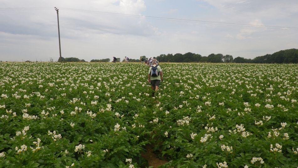 2017-07-06 05 Acle Bridge Inn.jpg