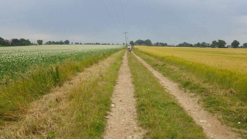 2017-07-06 12 Acle Bridge Inn.jpg