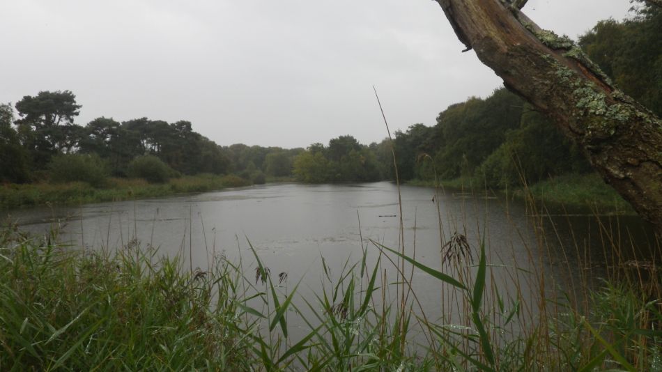 2017-10-08 02 Lound Lakes.jpg