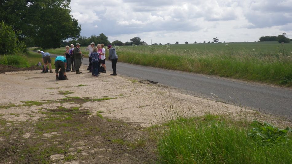 2018-06-17 02 Redgrave and South Lopham Fen.jpg