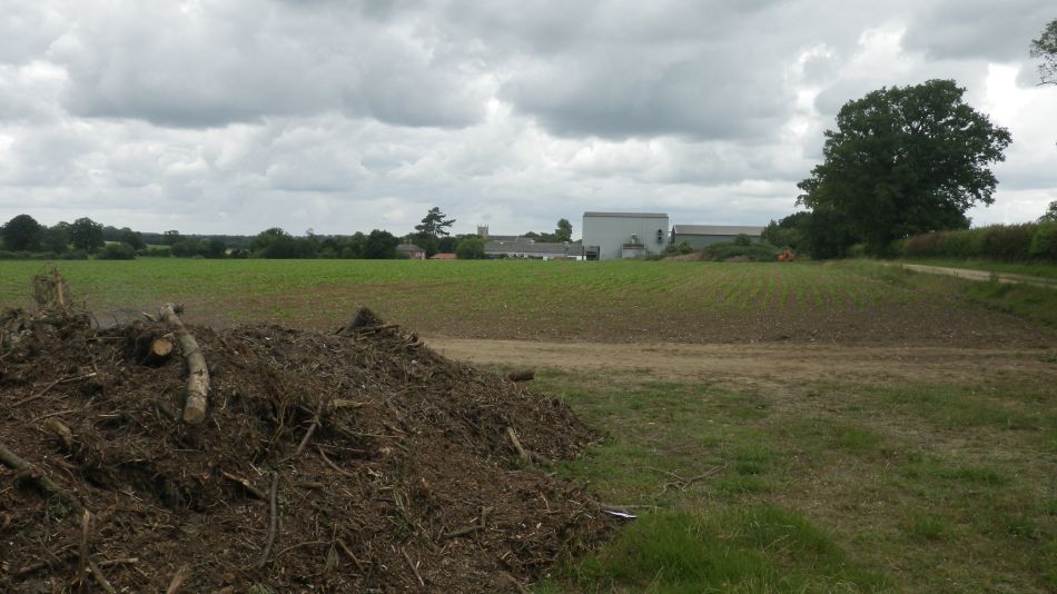 2018-06-17 03 Redgrave and South Lopham Fen.jpg