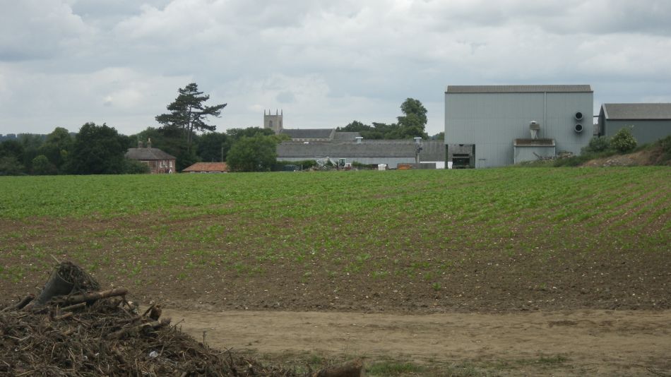 2018-06-17 04 Redgrave and South Lopham Fen.jpg