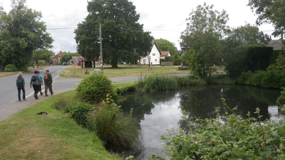 2018-06-17 05 Redgrave and South Lopham Fen.jpg