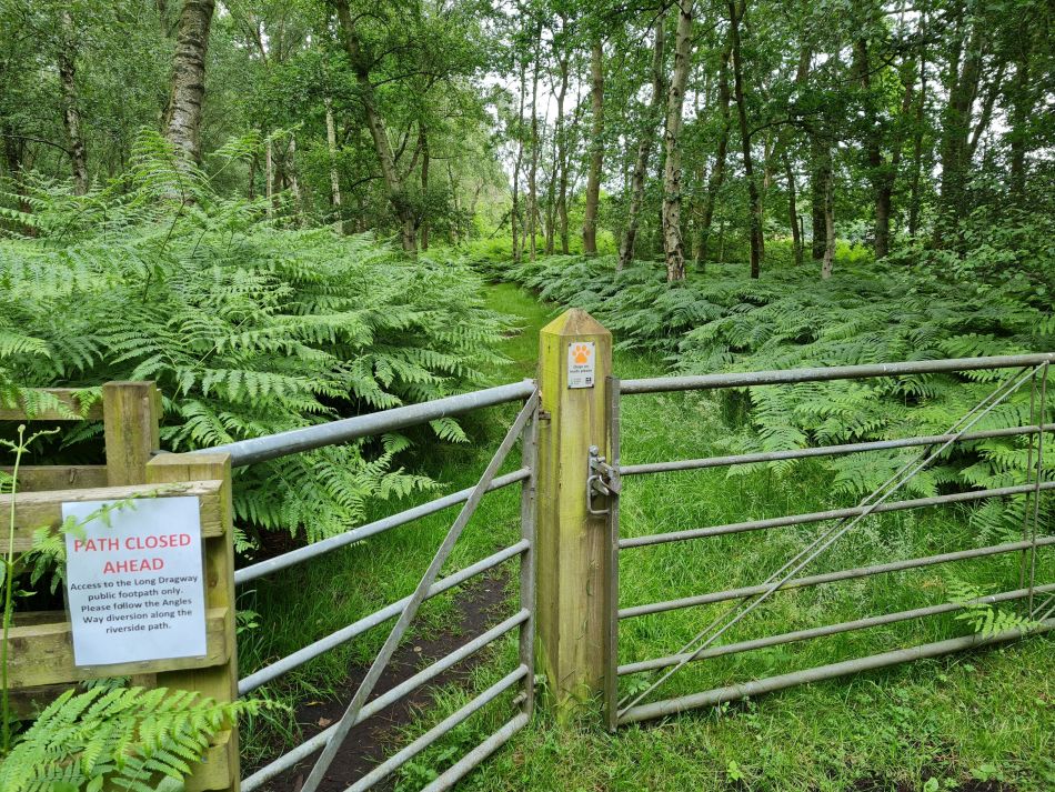 2021-07-01 02 Waveney and Little Ouse.jpg
