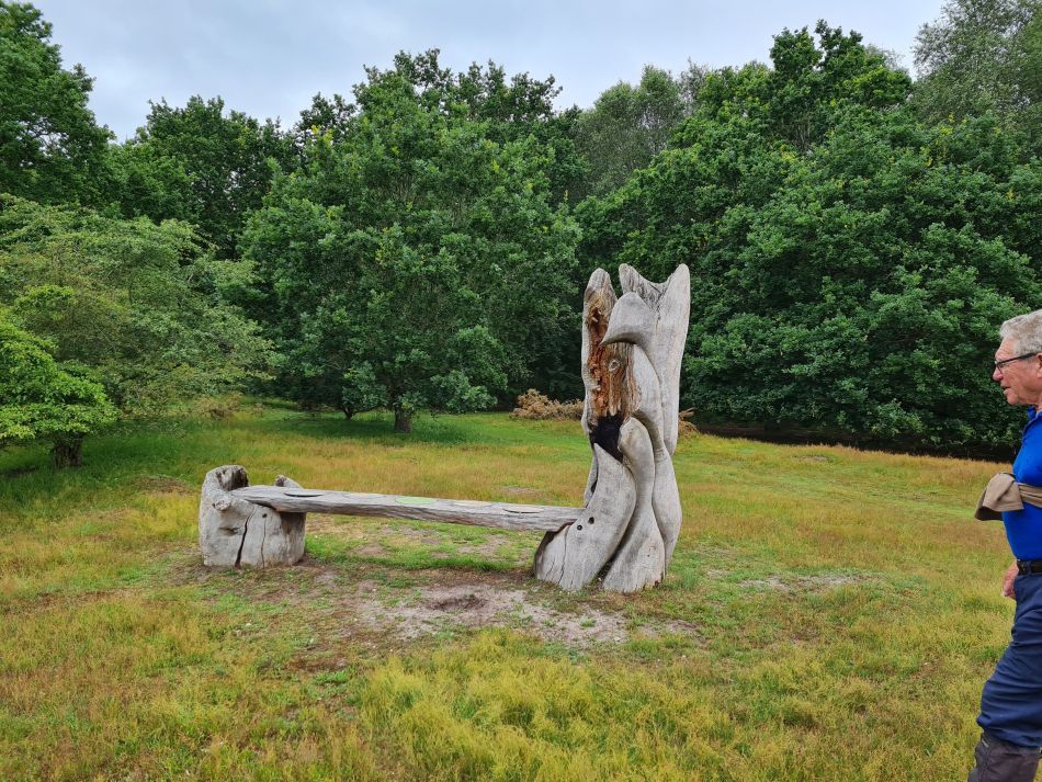 2021-07-01 03 Waveney and Little Ouse.jpg
