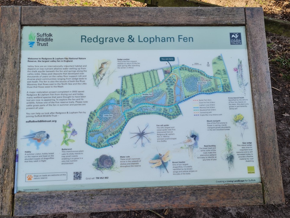 2021-07-01 13 Waveney and Little Ouse.jpg