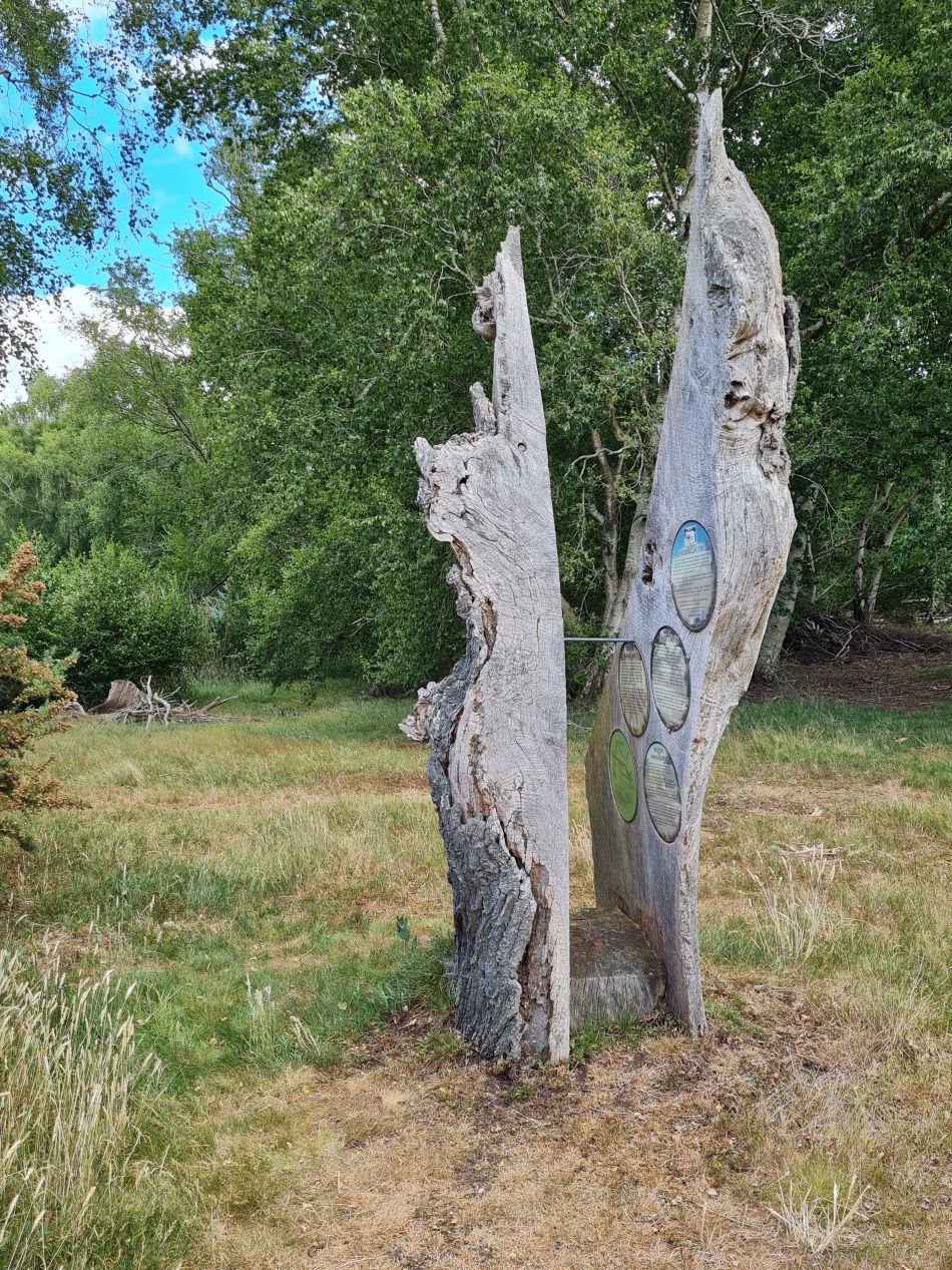 2022-06-26 09 Redgrave Lopham Fen Thelnetham Windmill.jpg