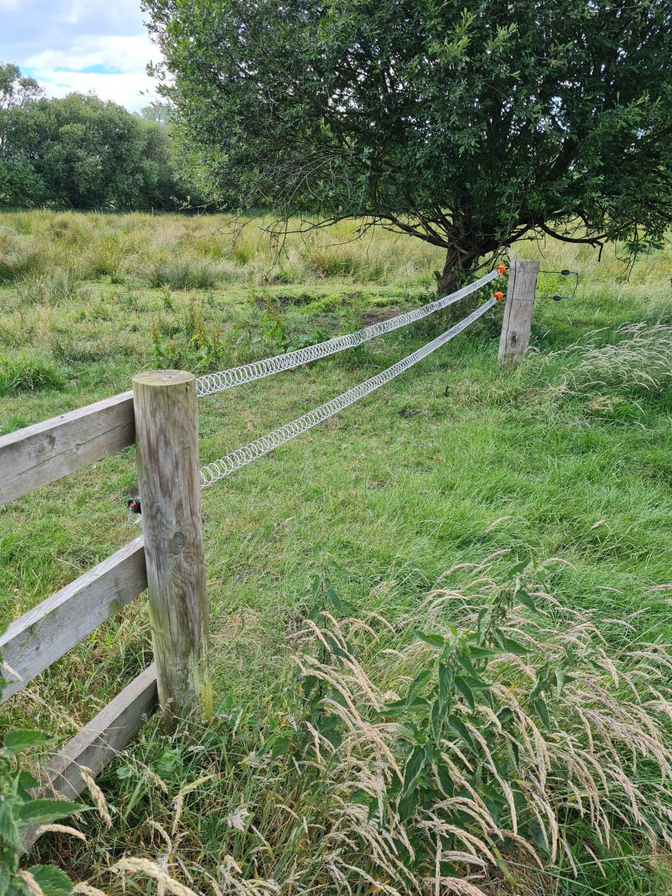 2022-06-26 20 Redgrave Lopham Fen Thelnetham Windmill.jpg