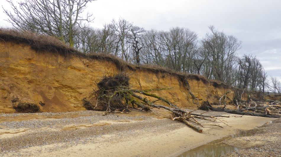 2018-03-11 03 Covehithe.jpg