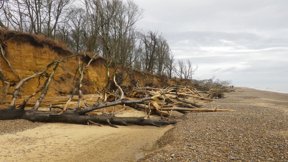 2018-03-11 04 Covehithe.jpg