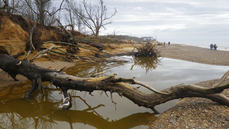 2018-03-11 05 Covehithe.jpg