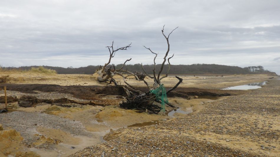 2018-03-11 06 Covehithe.jpg