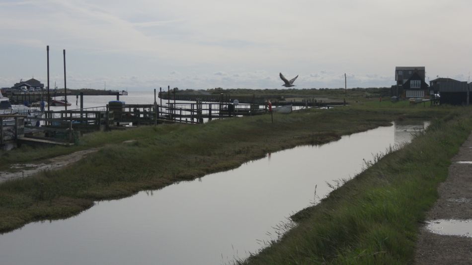 2019-10-03 07 Waveney Way 15 - Walberswick.jpg