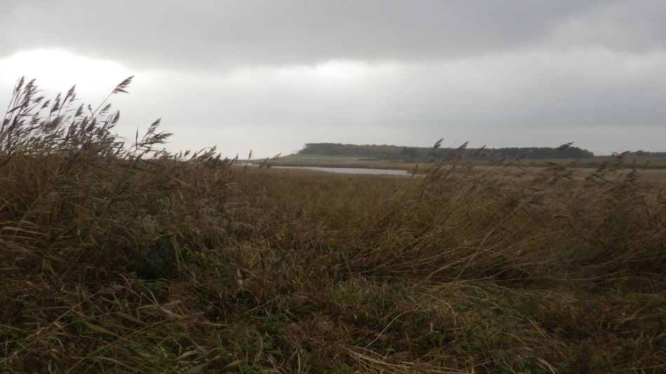 2019-11-21 09 Waveney Way 18 - Covehithe and Benacre.jpg