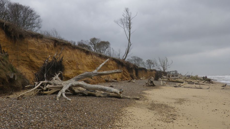 2019-11-21 22 Waveney Way 18 - Covehithe and Benacre.jpg