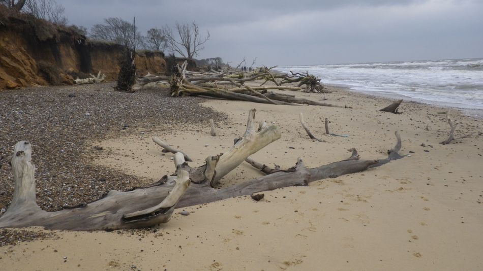 2019-11-21 23 Waveney Way 18 - Covehithe and Benacre.jpg