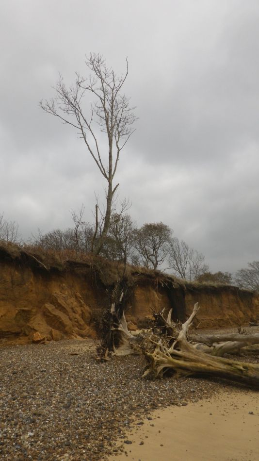 2019-11-21 24 Waveney Way 18 - Covehithe and Benacre.jpg