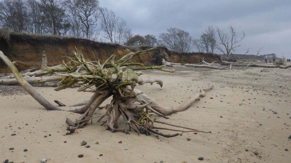 2019-11-21 25 Waveney Way 18 - Covehithe and Benacre.jpg