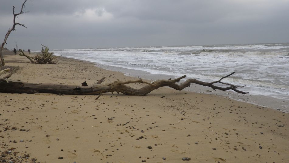 2019-11-21 26 Waveney Way 18 - Covehithe and Benacre.jpg