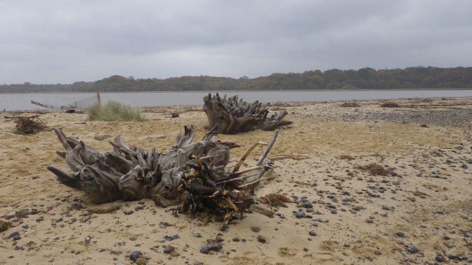 2019-11-21 28 Waveney Way 18 - Covehithe and Benacre.jpg