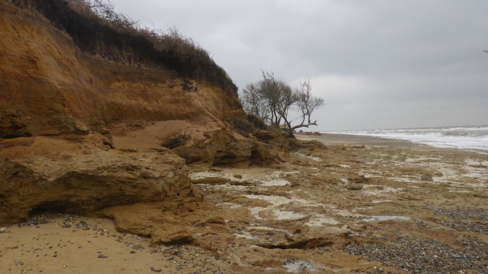 2019-11-21 33 Waveney Way 18 - Covehithe and Benacre.jpg