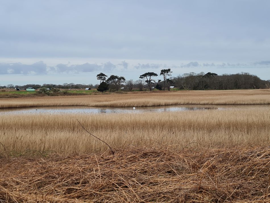 2024-03-30 08 Covehithe and Benacre.jpg