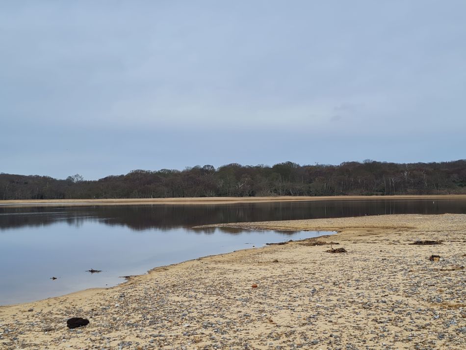 2024-03-30 10 Covehithe and Benacre.jpg