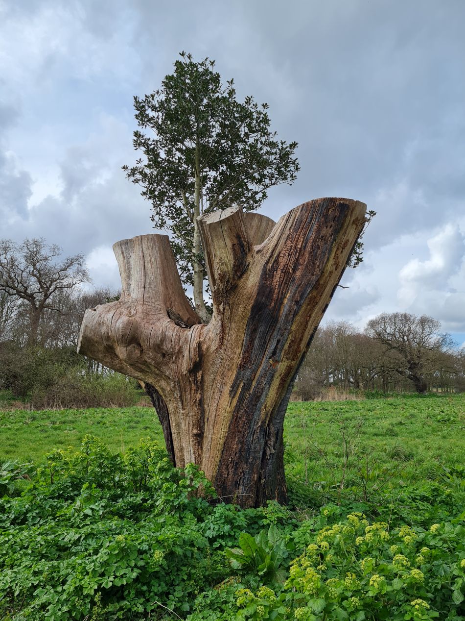 2024-03-30 26 Covehithe and Benacre.jpg