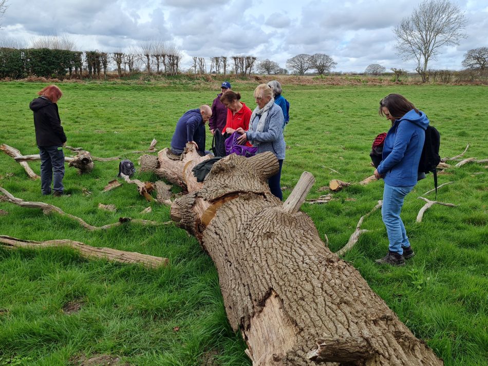 2024-03-30 27 Covehithe and Benacre.jpg