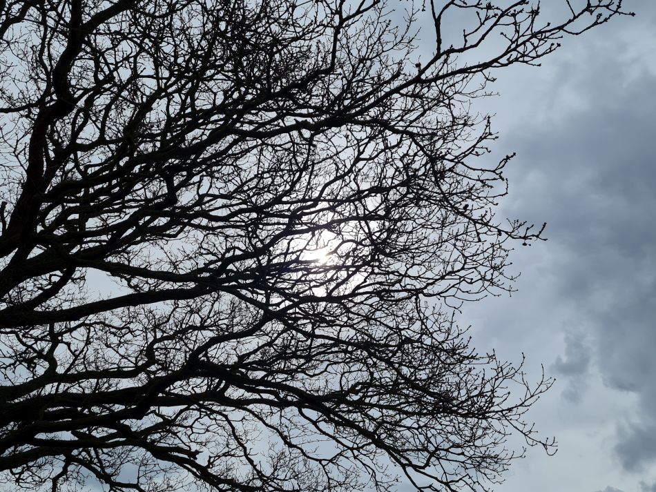 2024-03-30 28 Covehithe and Benacre.jpg